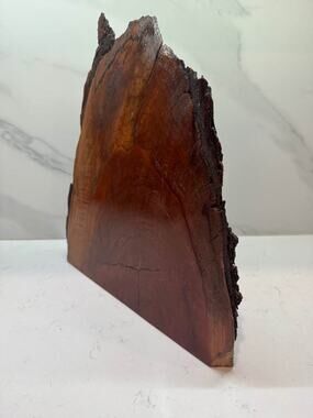 Rustic Live-Edge Wood Scupture, Book End, Shelf Decor with Natural Bark Edge